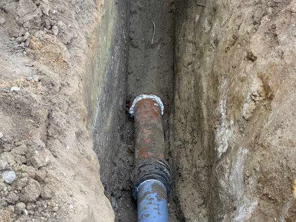 Best Flood restoration services  in Esparto, CA