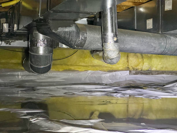 Best Water damage cleanup near me  in Esparto, CA