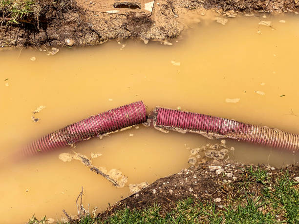 Best 24-hour water damage restoration  in Esparto, CA